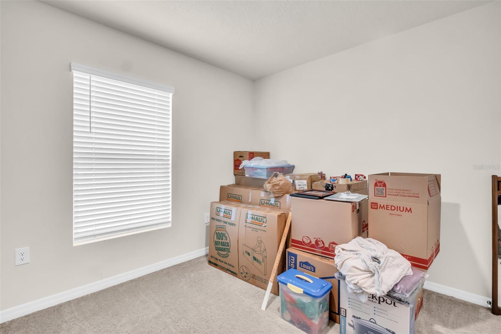 7774 SAIL CLOVER LN, ZEPHYRHILLS, FL — photo 35