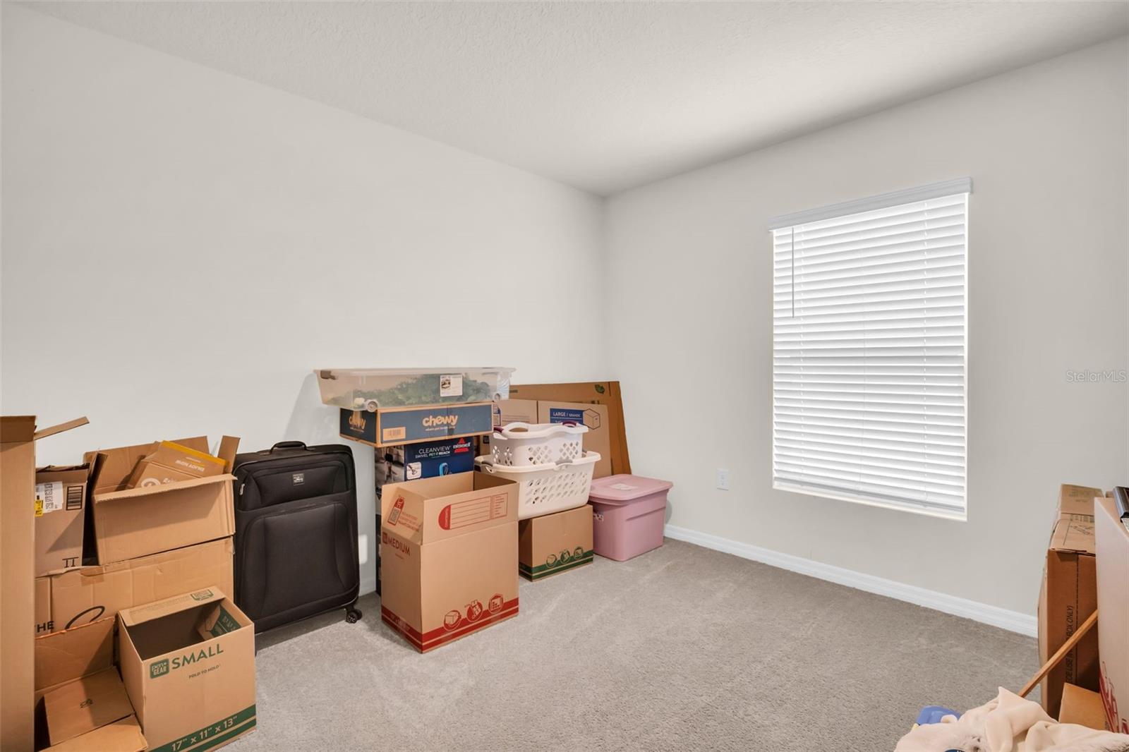 7774 SAIL CLOVER LN, ZEPHYRHILLS, FL — photo 36