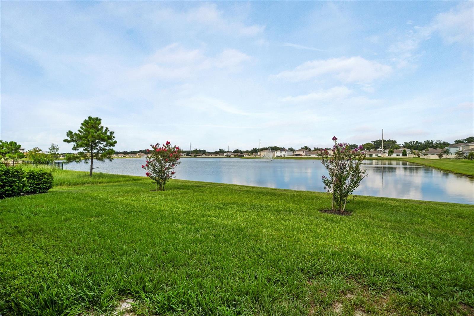 7774 SAIL CLOVER LN, ZEPHYRHILLS, FL — photo 29