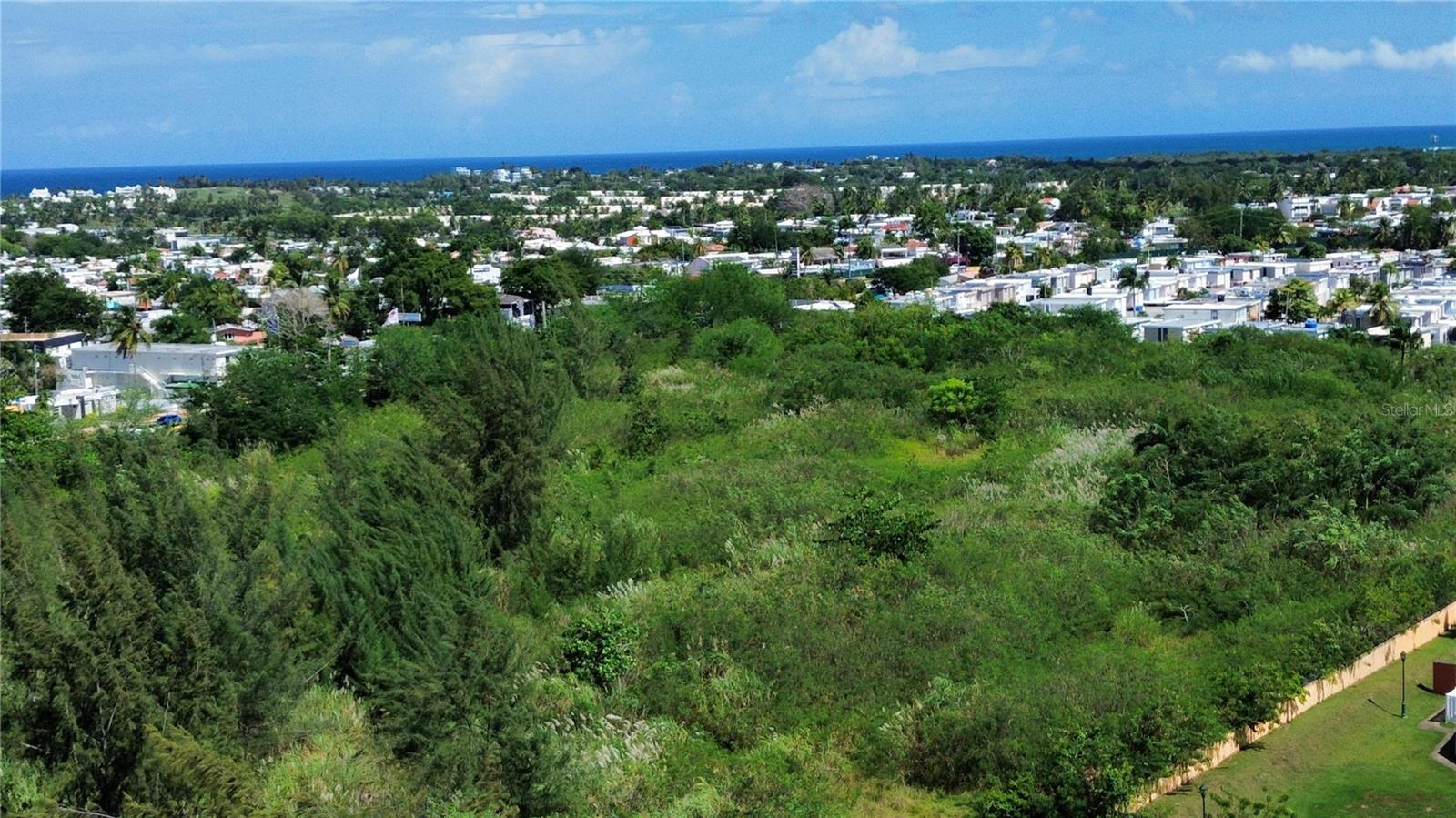 BO HIGUILLAR CARR. 695 KM. 3.2, DORADO, PR — photo 4