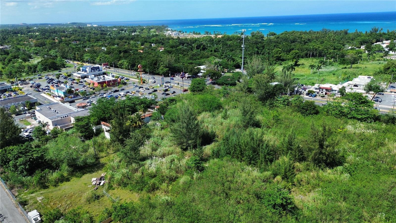 BO HIGUILLAR CARR. 695 KM. 3.2, DORADO, PR — photo 10