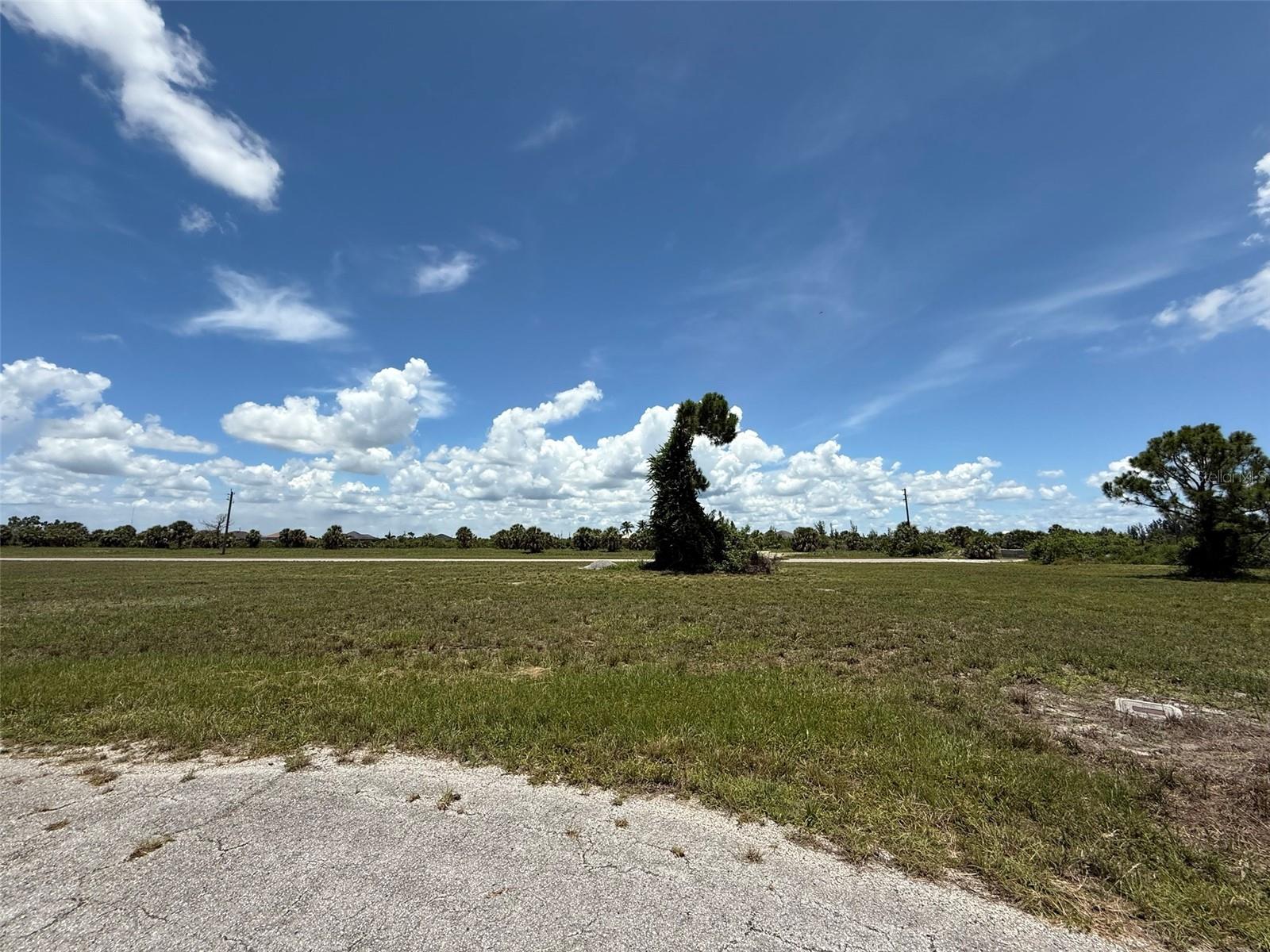 18 SATINWOOD PL, PLACIDA, FL — photo 3
