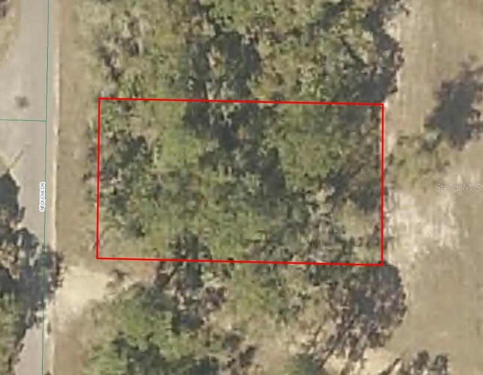SEQUOIA DR, OCKLAWAHA, FL