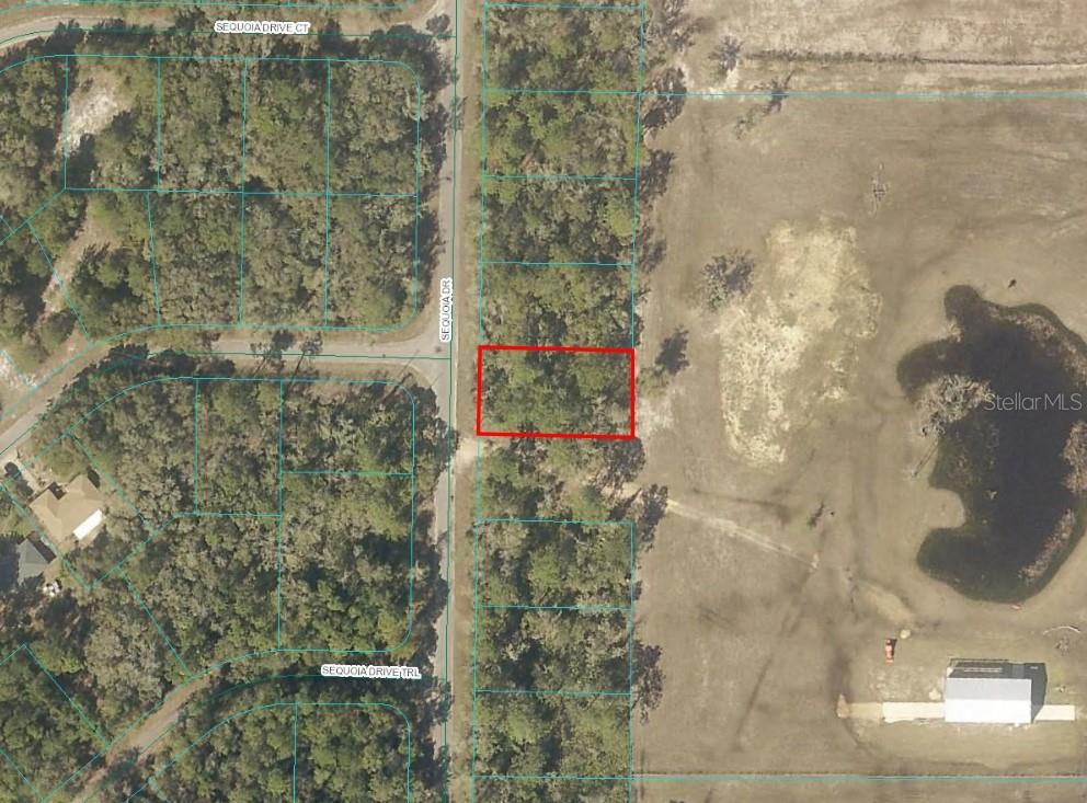 SEQUOIA DR, OCKLAWAHA, FL — photo 2