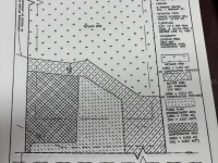 12335 WINTER GARDEN RD — photo 2