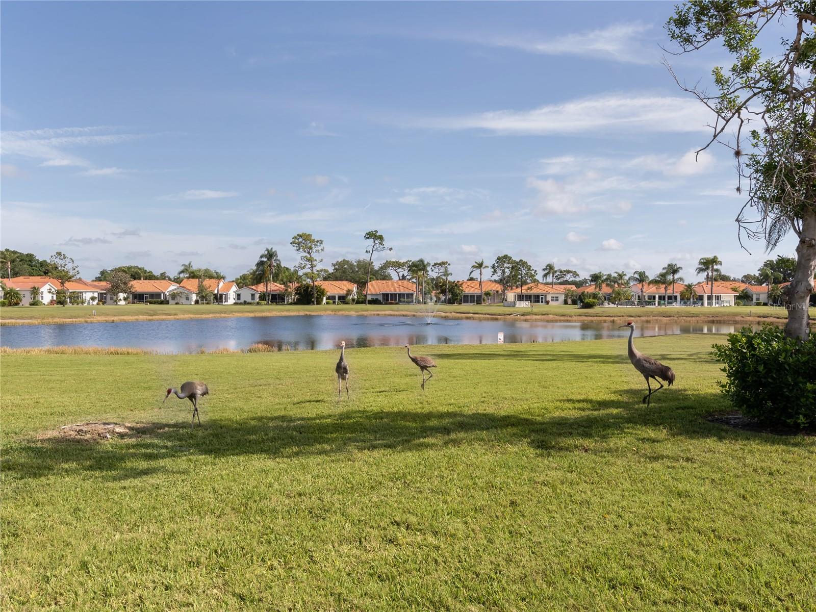 4831 SUMMERTREE RD, VENICE, FL — photo 25
