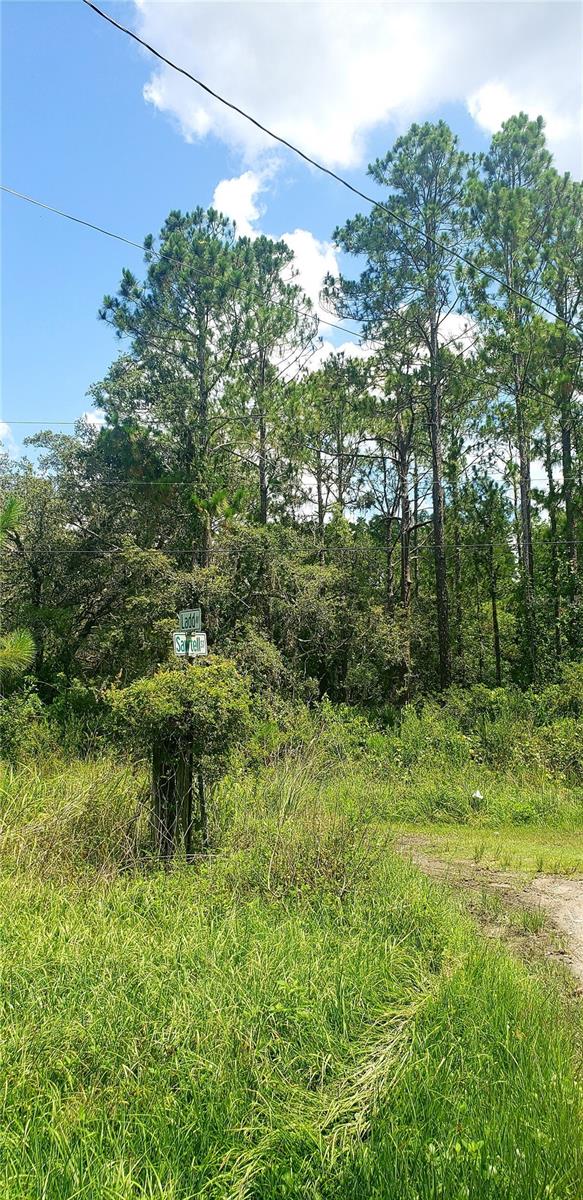 0 LADD AVENUE, NEW PORT RICHEY, FL — photo 4