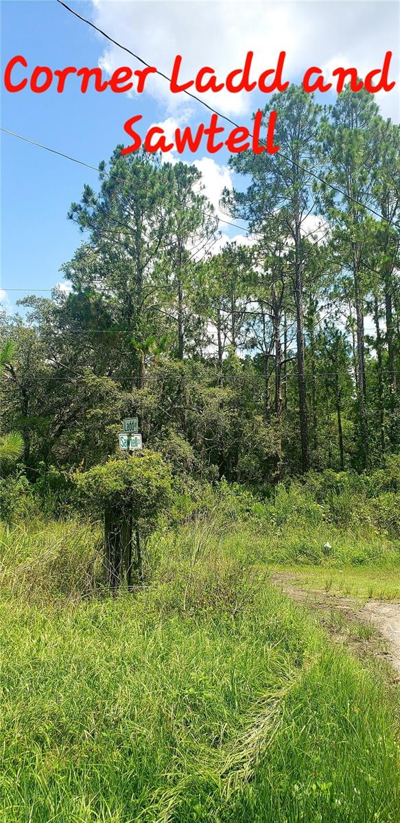 0 LADD AVENUE, NEW PORT RICHEY, FL — photo 5