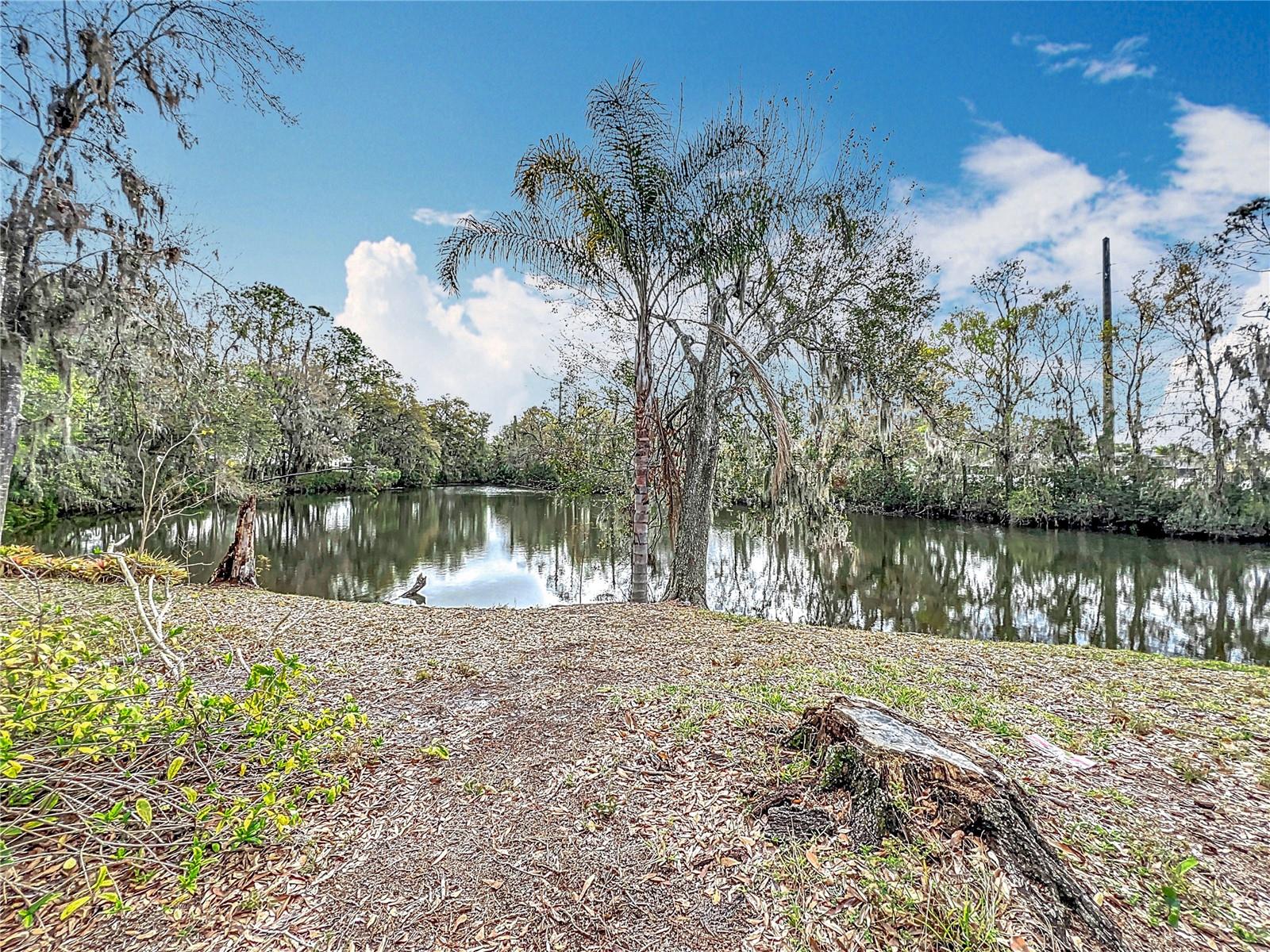 3322 HEATHER GLYNN DR, MULBERRY, FL — photo 39