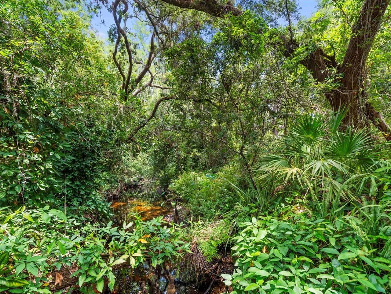16035 CHASTAIN RD, ODESSA, FL — photo 2