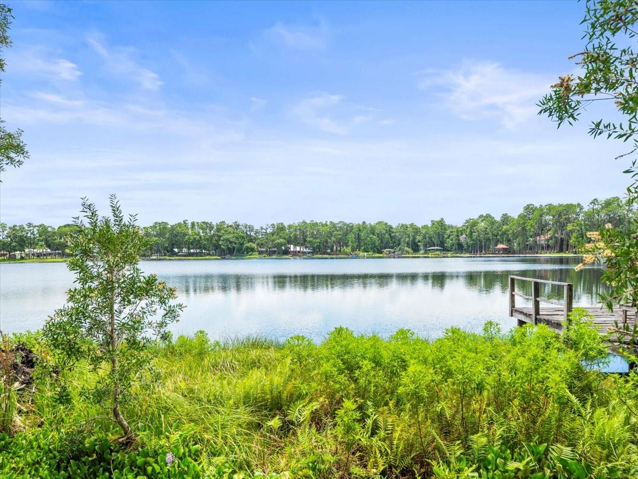 16035 CHASTAIN RD, ODESSA, FL — photo 3