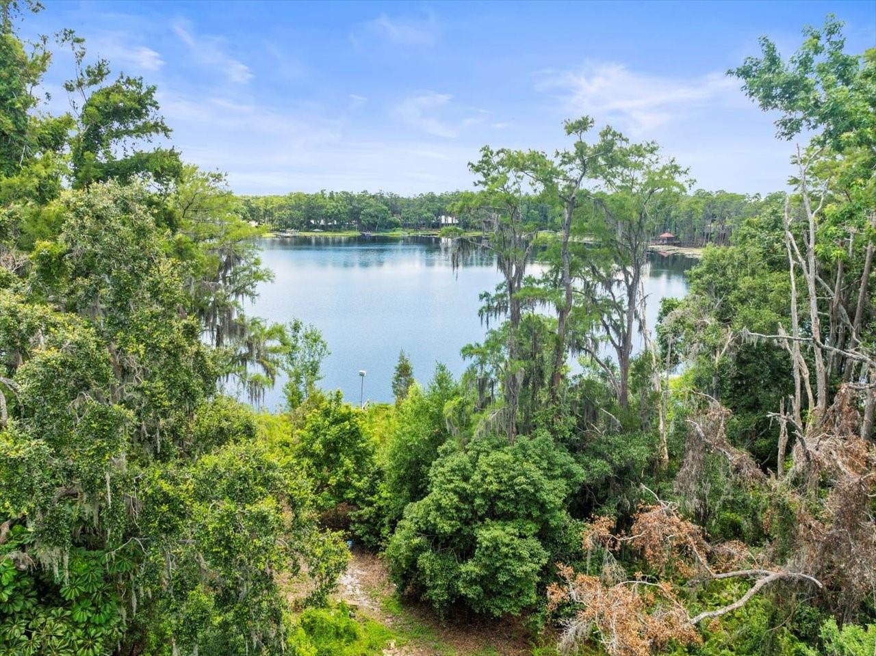 16035 CHASTAIN RD, ODESSA, FL — photo 5