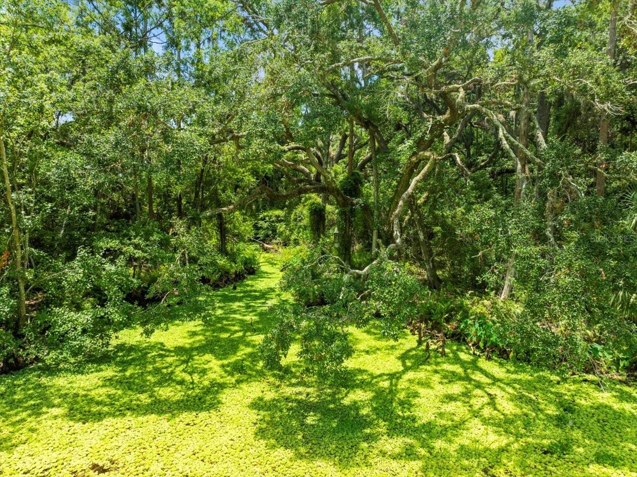 16035 CHASTAIN RD, ODESSA, FL — photo 7