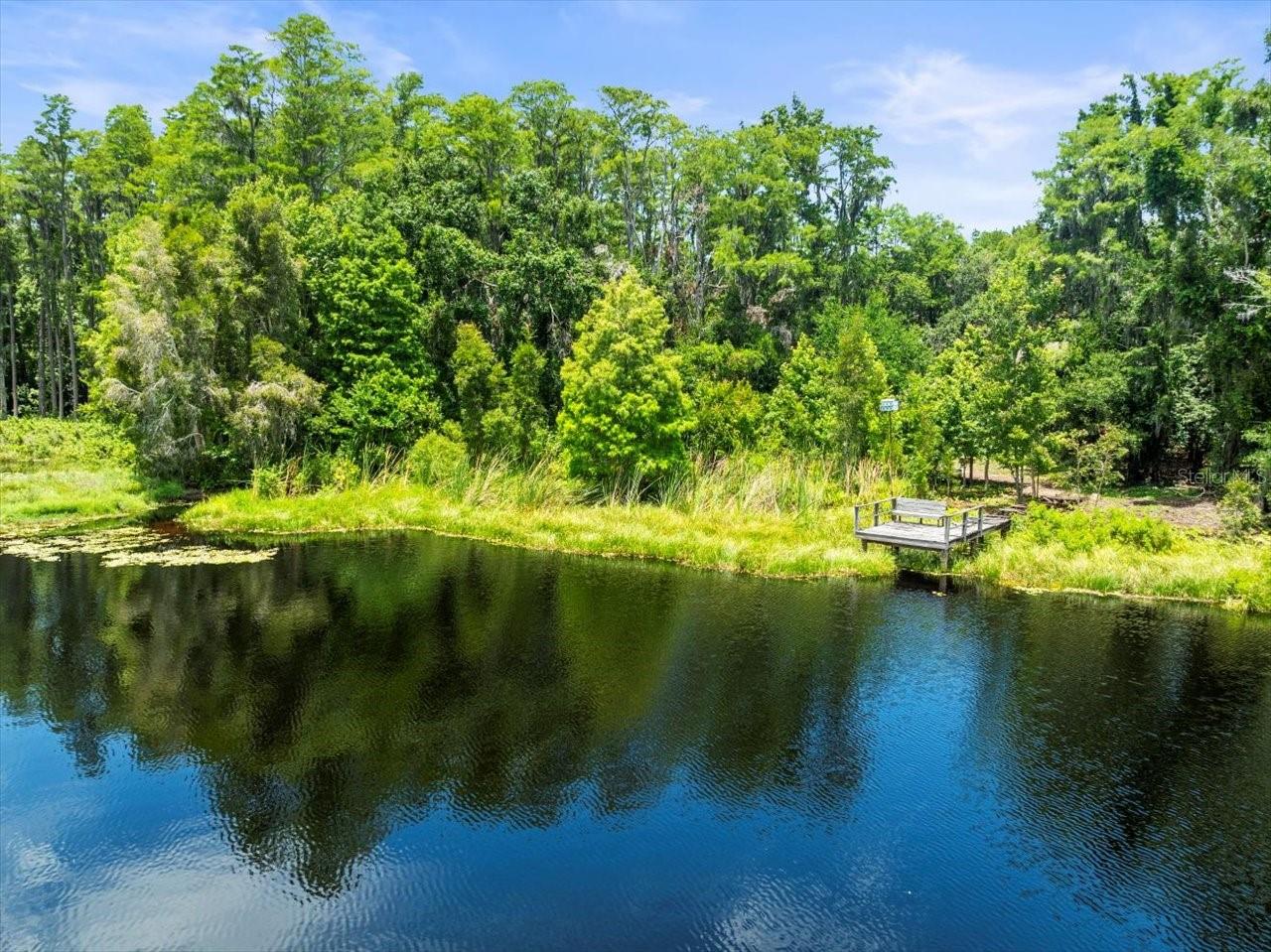 16035 CHASTAIN RD, ODESSA, FL — photo 8