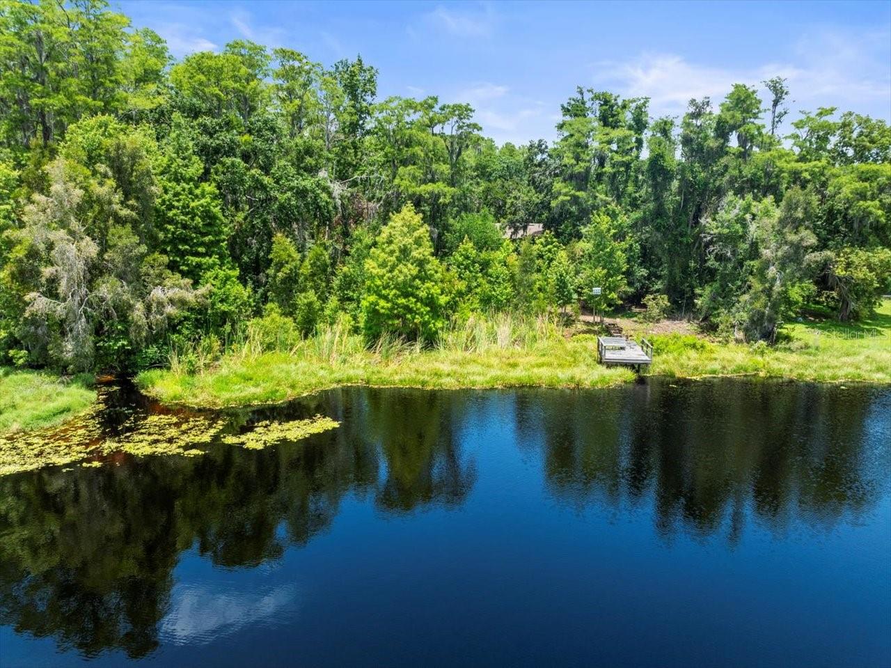 16035 CHASTAIN RD, ODESSA, FL — photo 9
