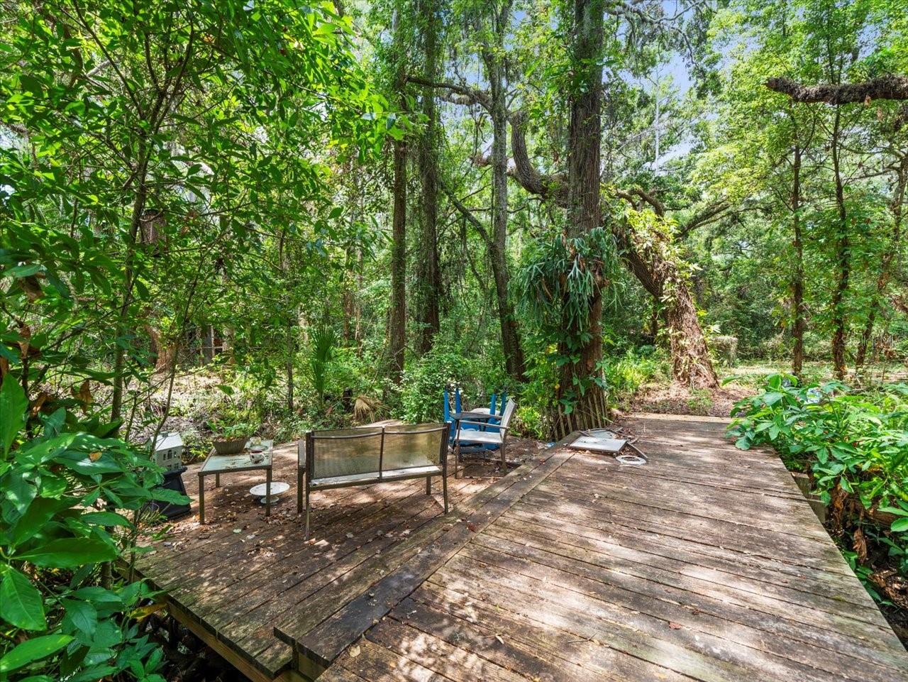 16035 CHASTAIN RD, ODESSA, FL — photo 11