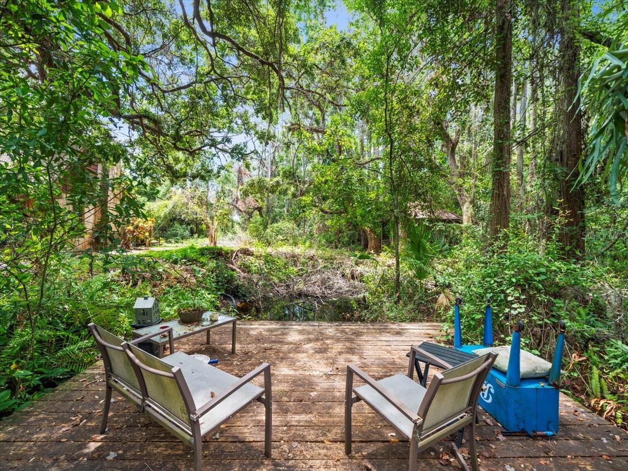 16035 CHASTAIN RD, ODESSA, FL — photo 12