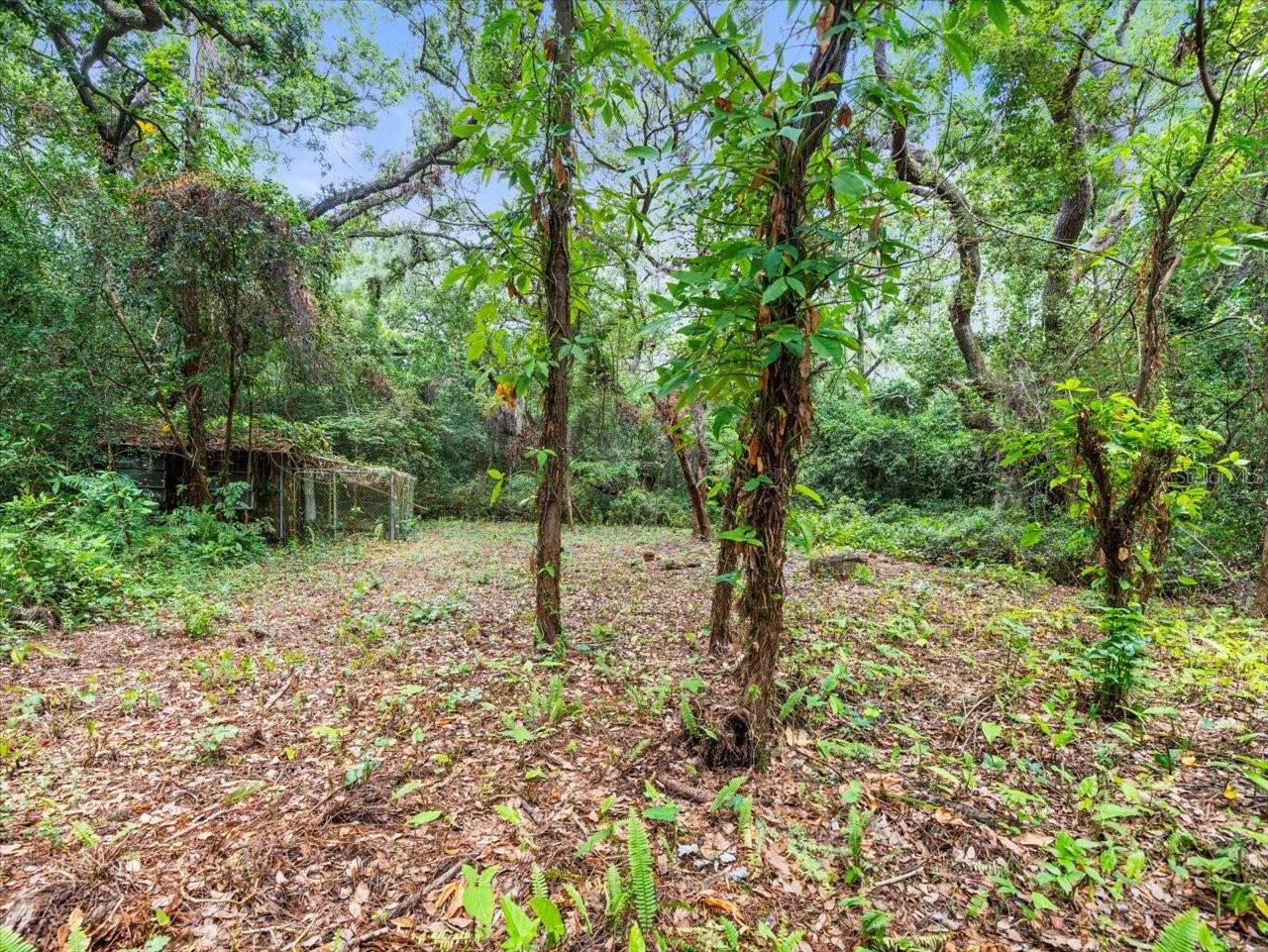 16035 CHASTAIN RD, ODESSA, FL — photo 13