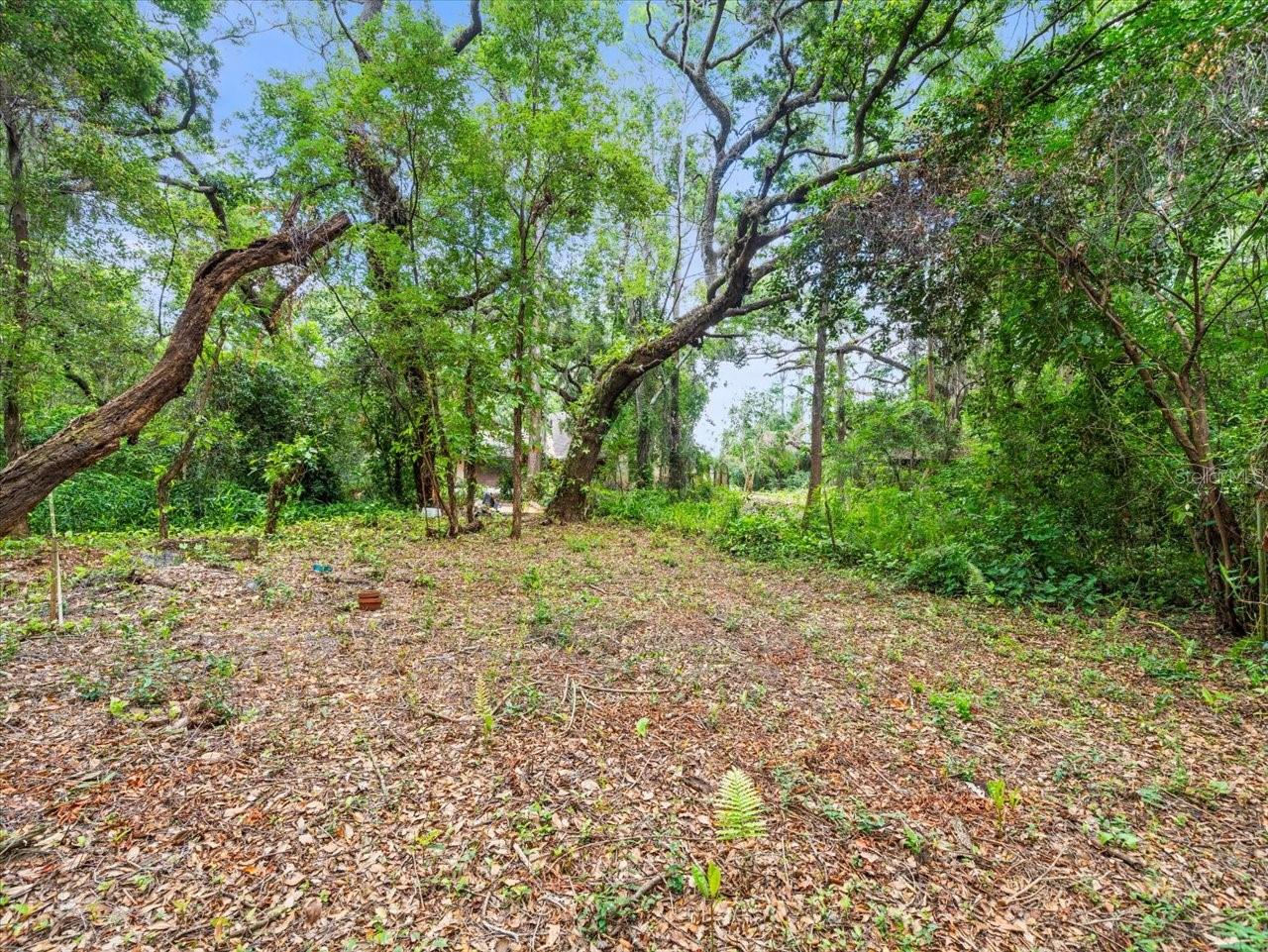 16035 CHASTAIN RD, ODESSA, FL — photo 14