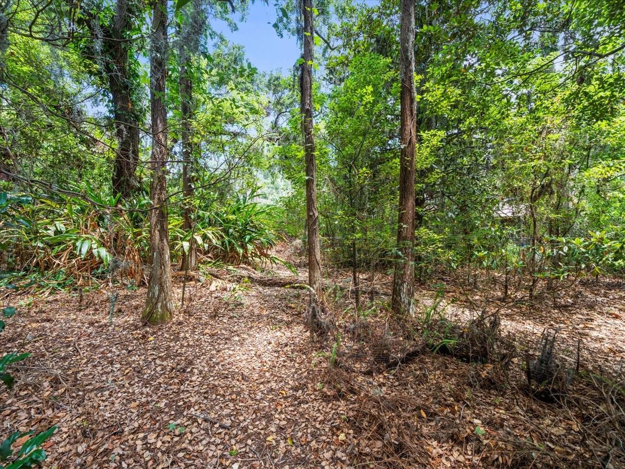 16035 CHASTAIN RD, ODESSA, FL — photo 15