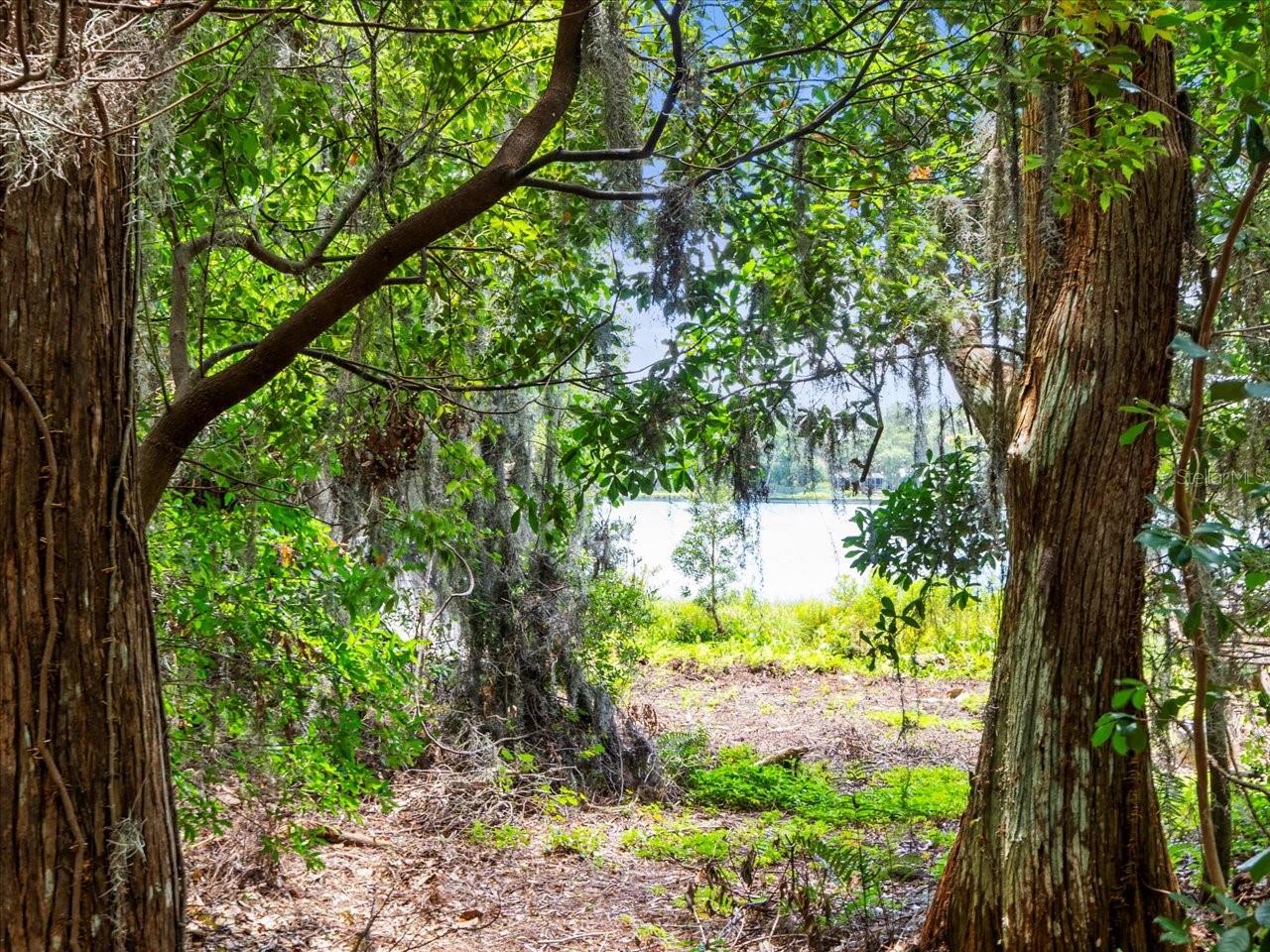 16035 CHASTAIN RD, ODESSA, FL — photo 16