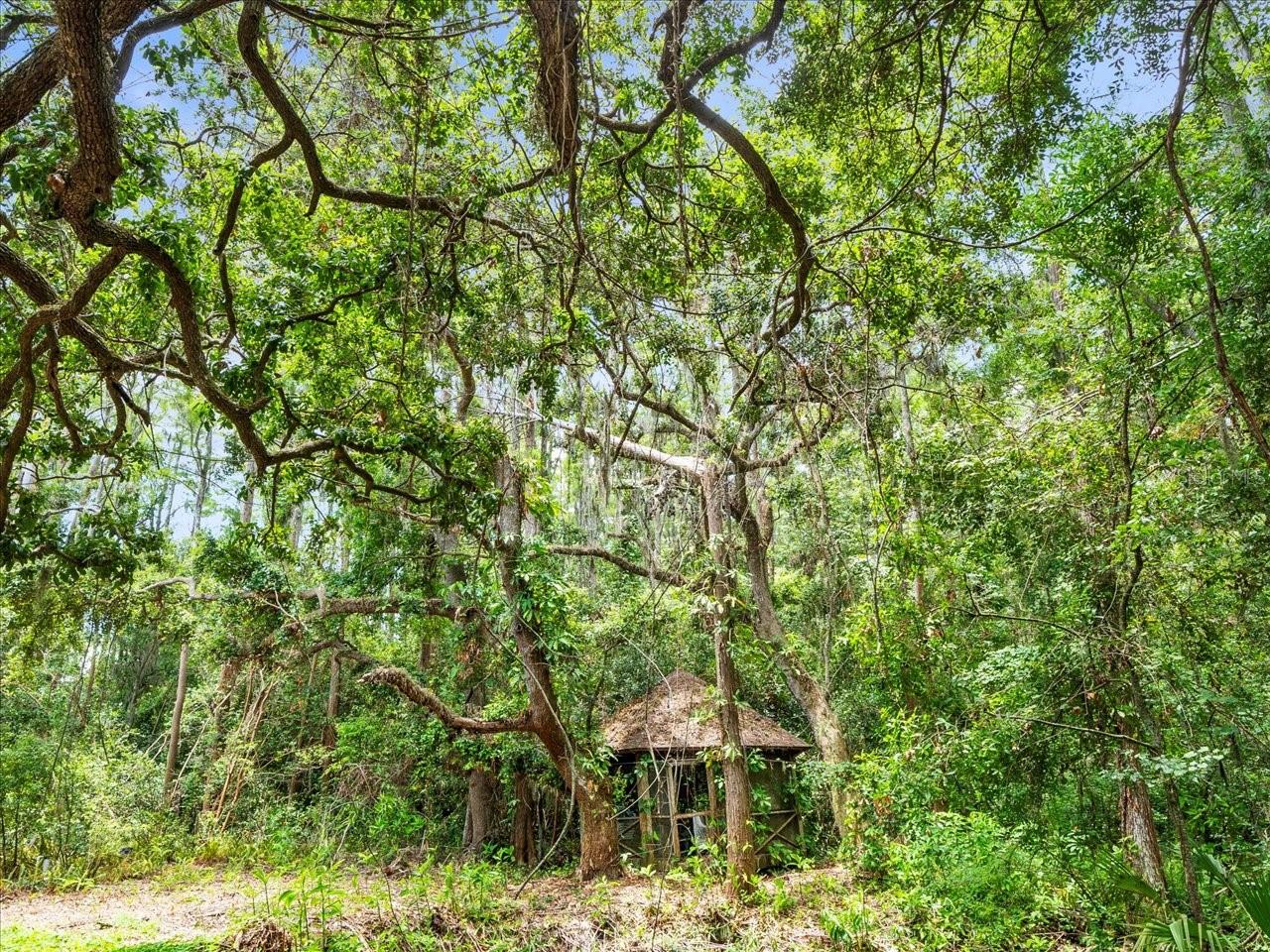 16035 CHASTAIN RD, ODESSA, FL — photo 17