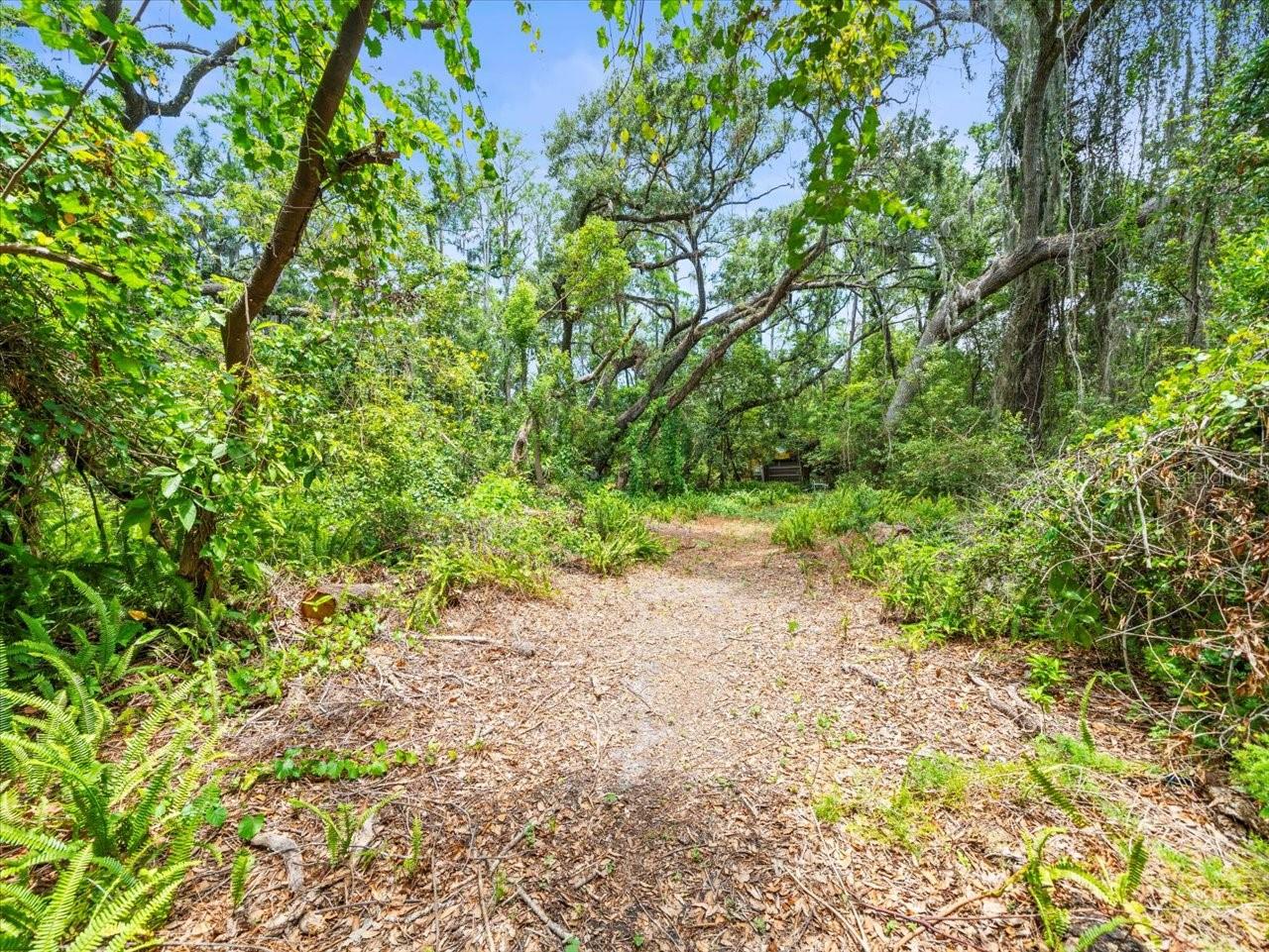 16035 CHASTAIN RD, ODESSA, FL — photo 18