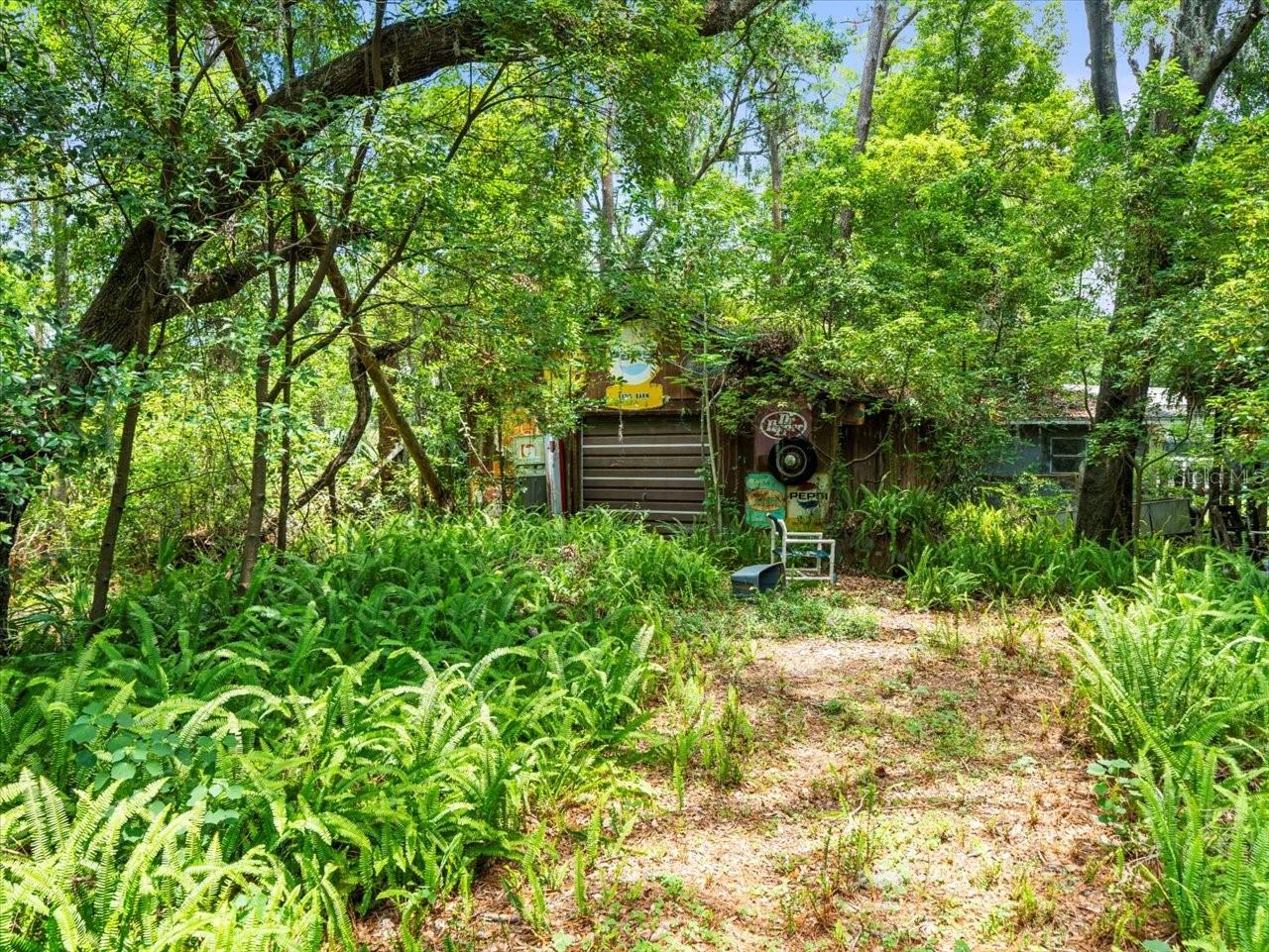 16035 CHASTAIN RD, ODESSA, FL — photo 20
