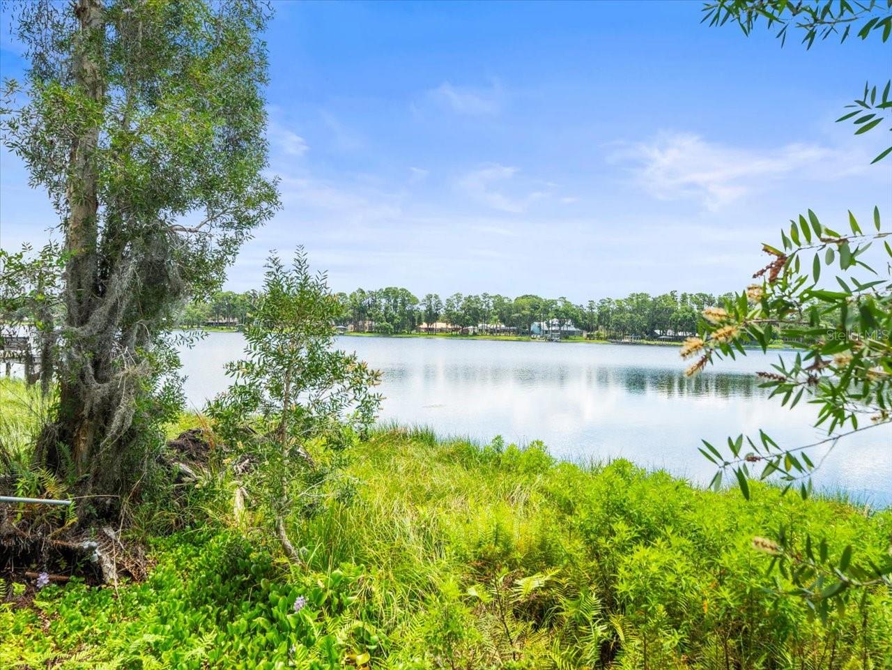 16035 CHASTAIN RD, ODESSA, FL — photo 23