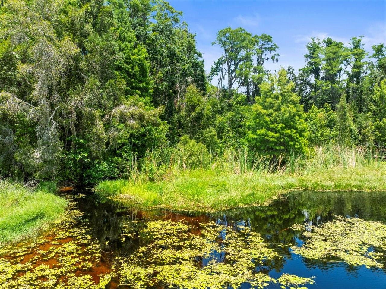 16035 CHASTAIN RD, ODESSA, FL — photo 28
