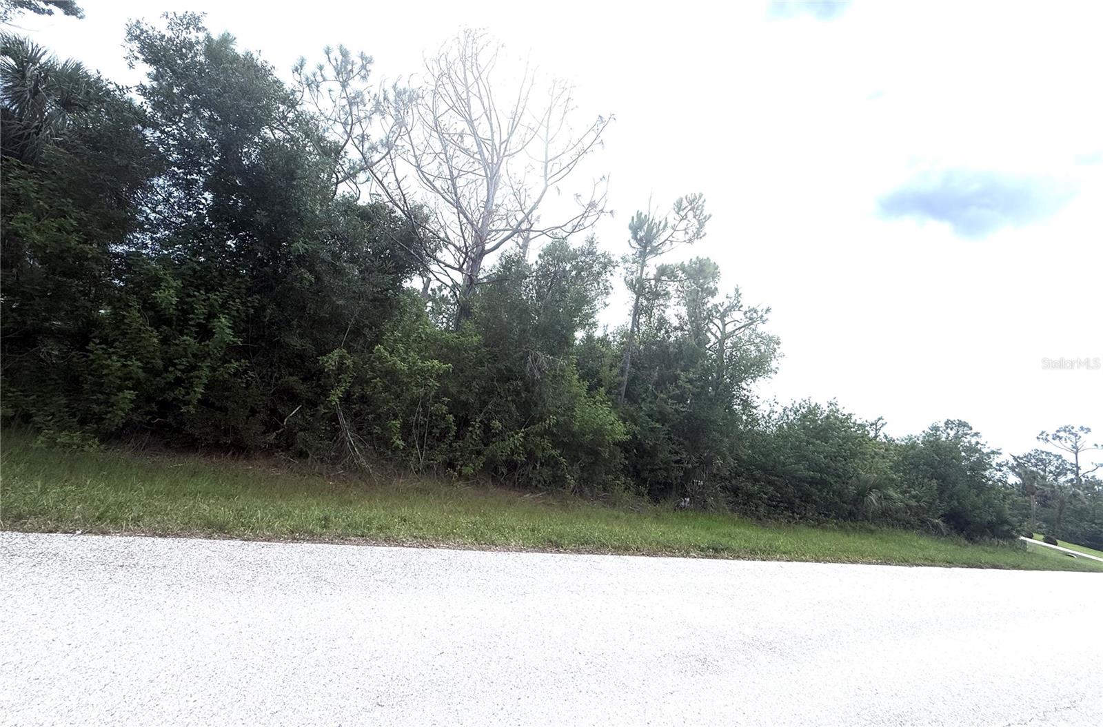 6165 & 6173 BLACKBERRY ST, ENGLEWOOD, FL — photo 4