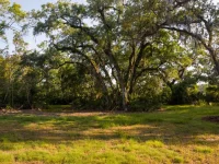 10 LEXINGTON CT — photo 4