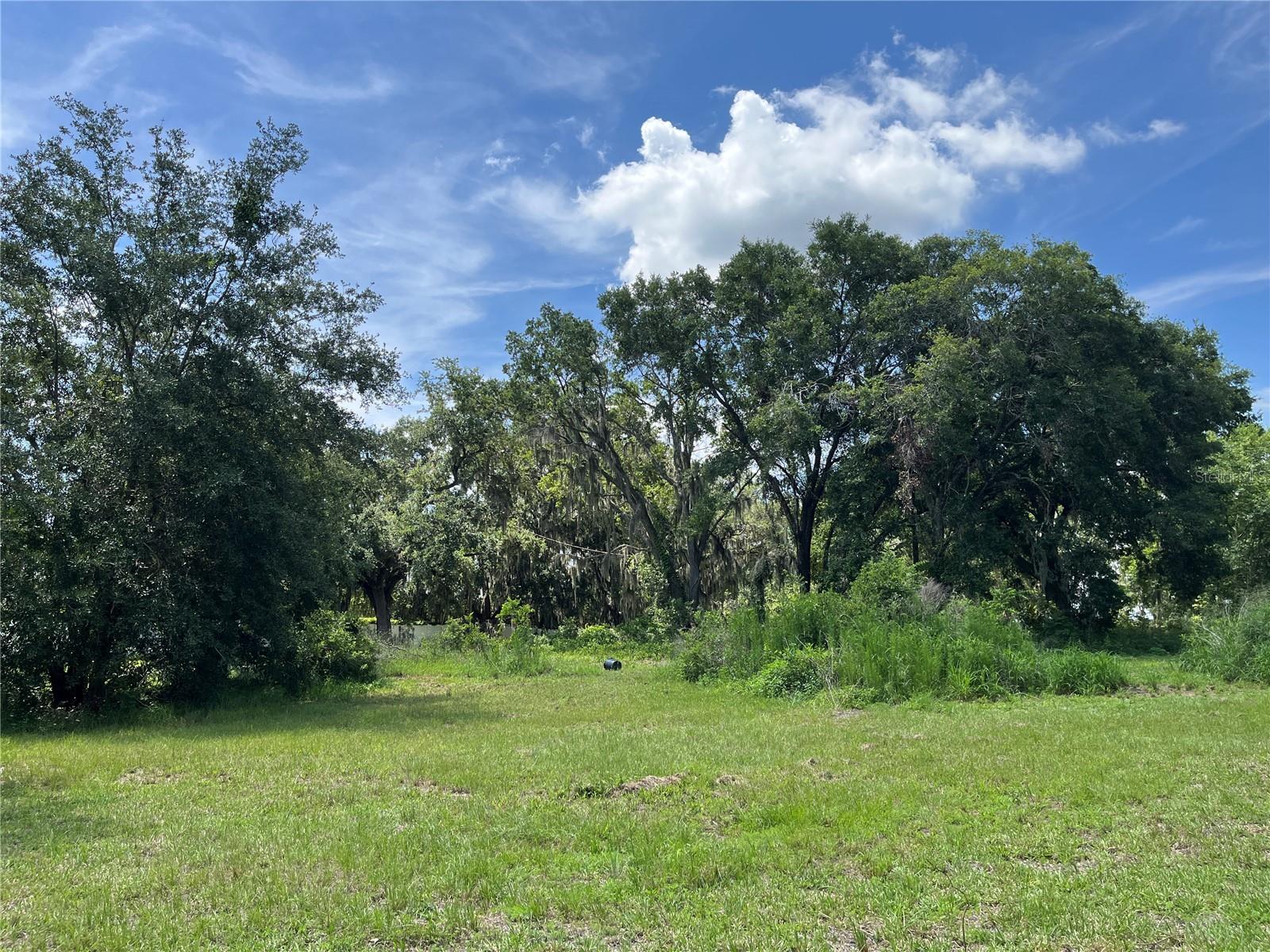 411 ALIBRANDI RD, LEESBURG, FL — photo 47