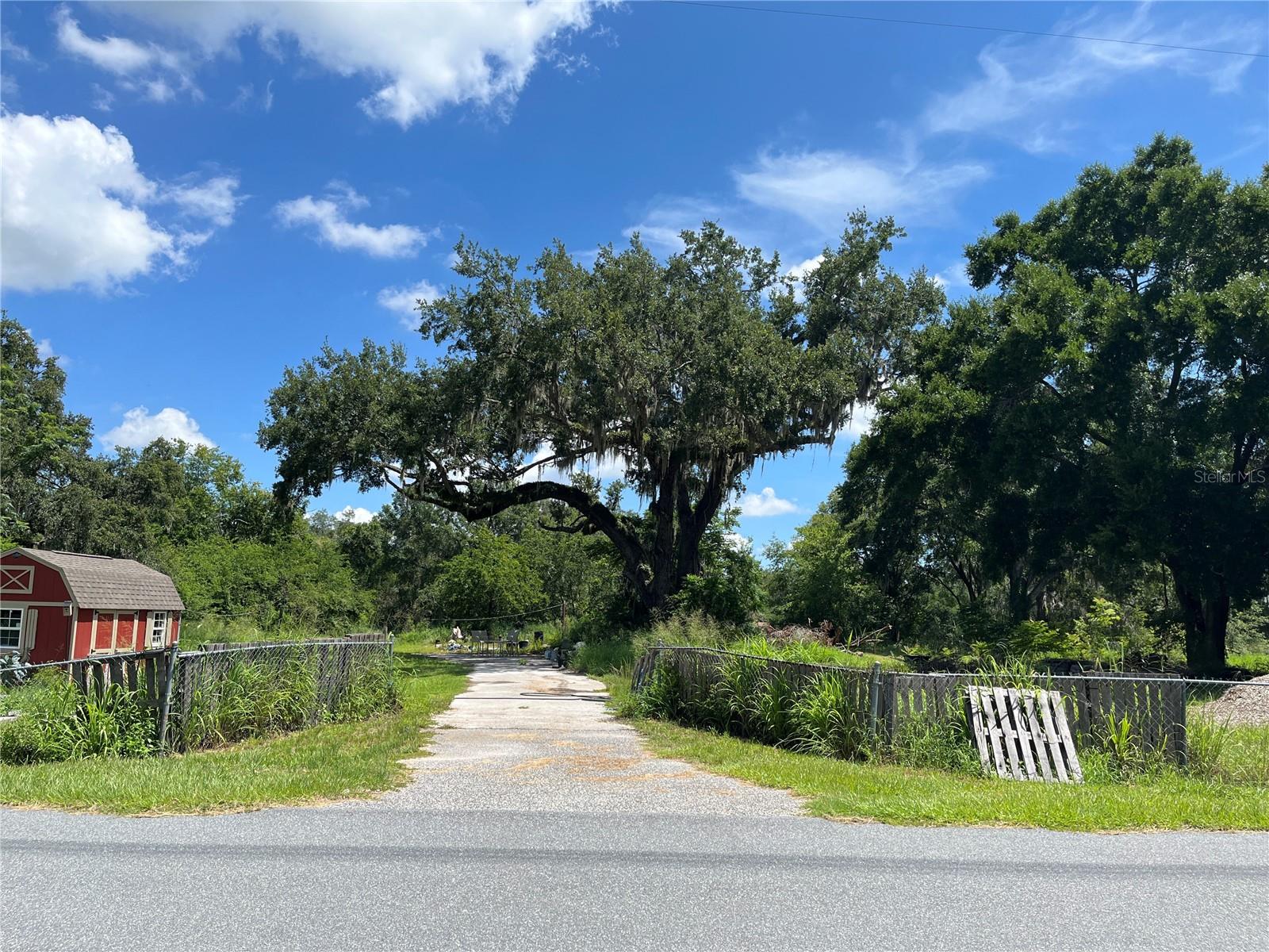 411 ALIBRANDI RD, LEESBURG, FL — photo 17