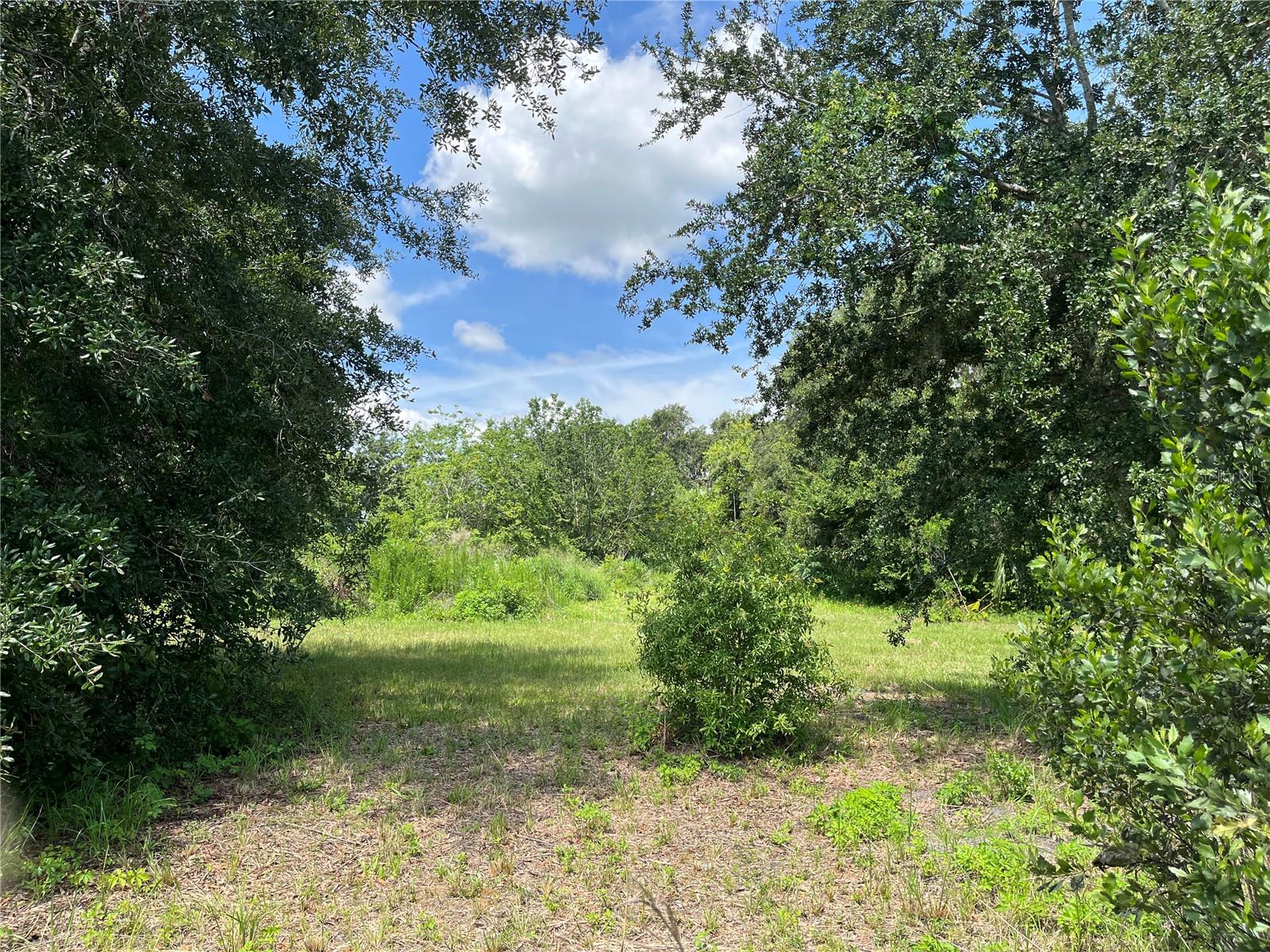 411 ALIBRANDI RD, LEESBURG, FL — photo 44