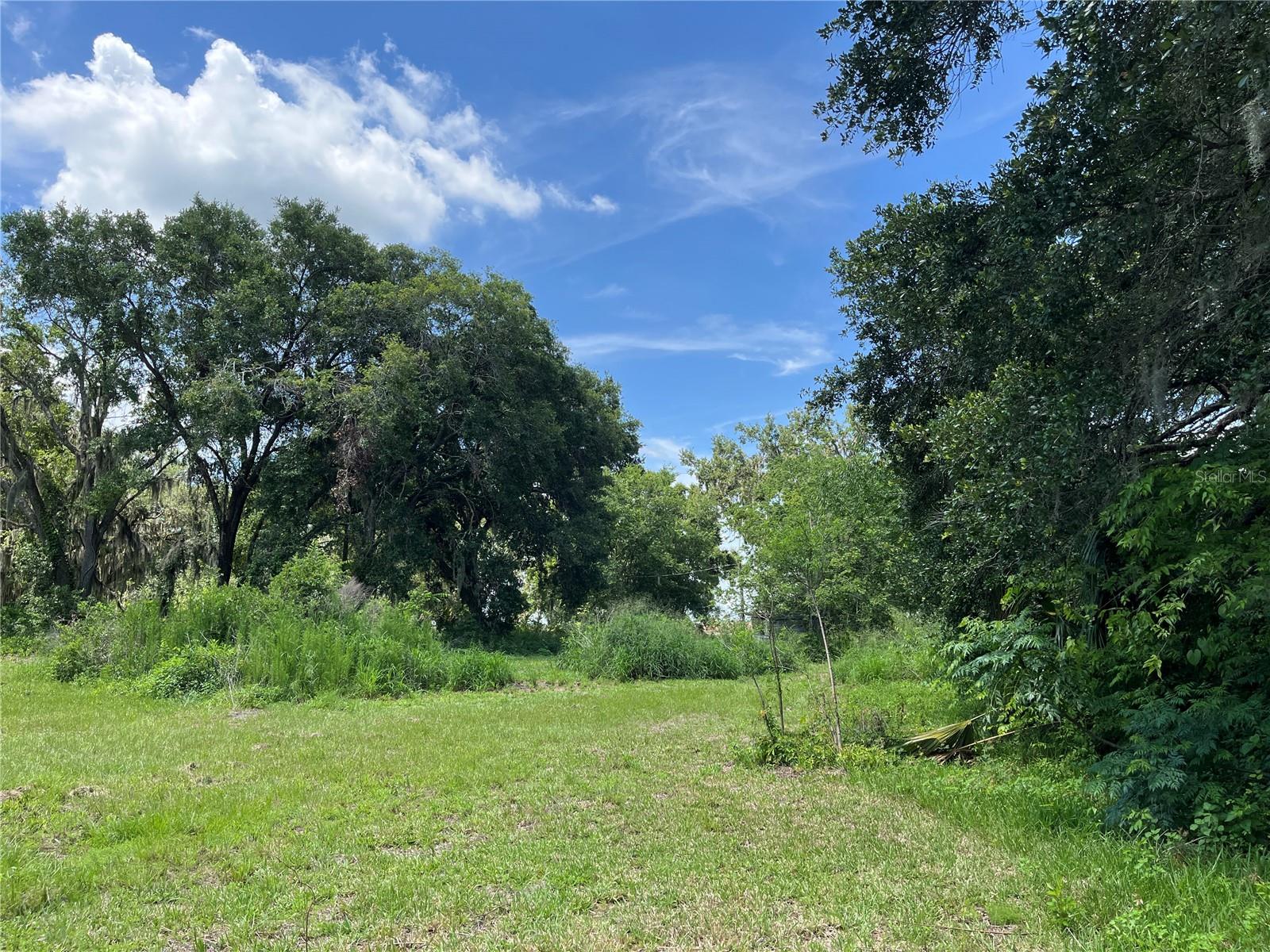 411 ALIBRANDI RD, LEESBURG, FL — photo 46