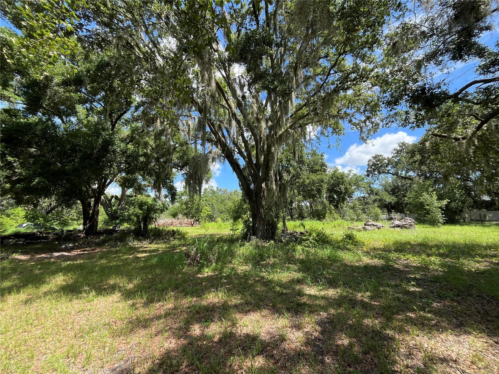 411 ALIBRANDI RD, LEESBURG, FL — photo 31