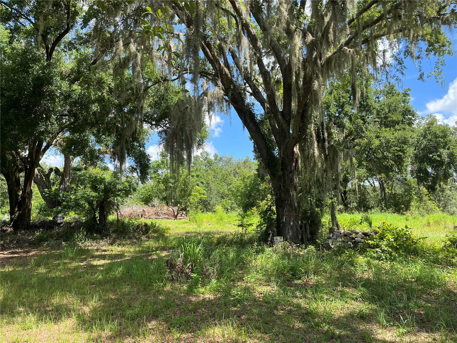 411 ALIBRANDI RD, LEESBURG, FL — photo 34