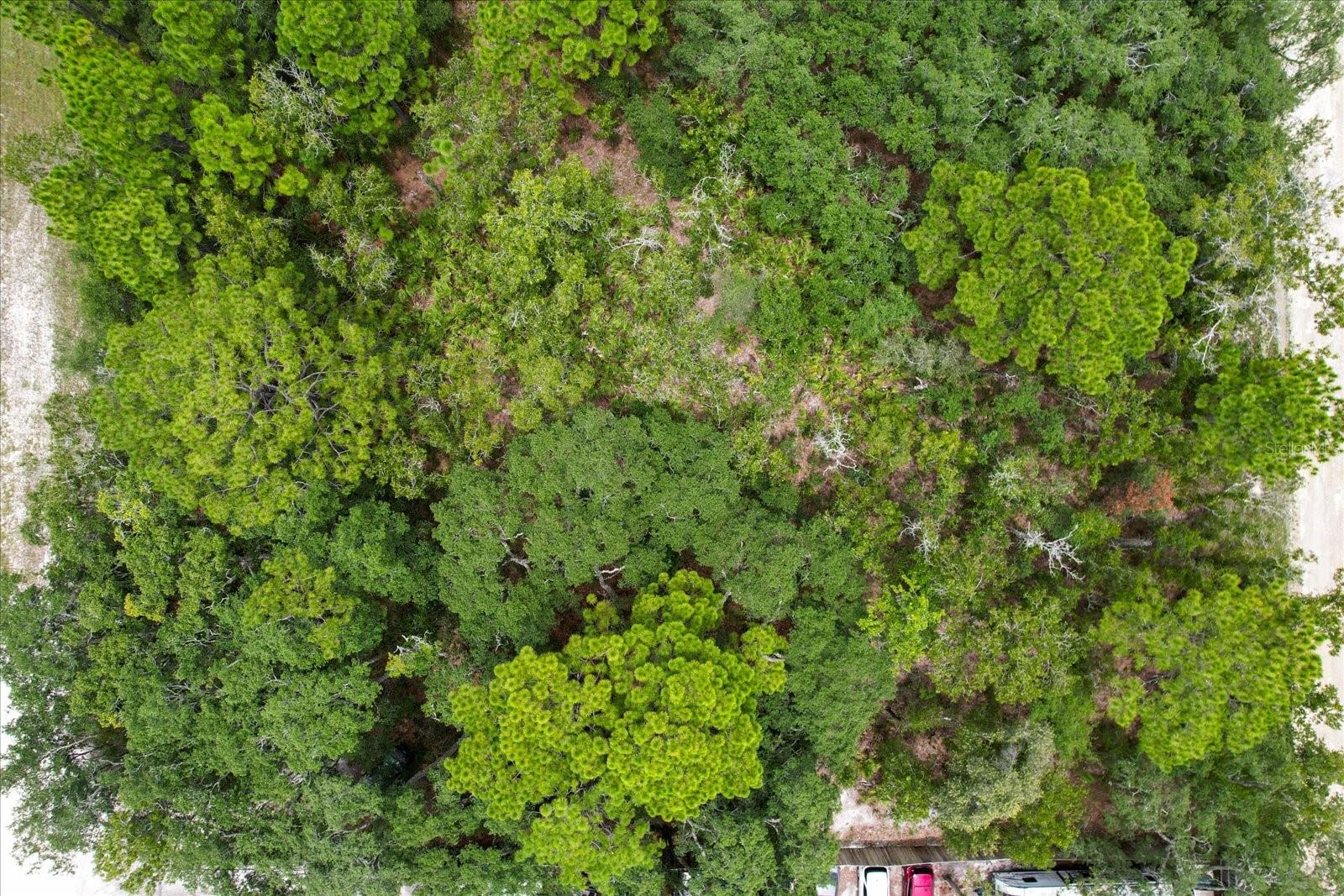 17192 NICASIO JAY AVE, BROOKSVILLE, FL — photo 10