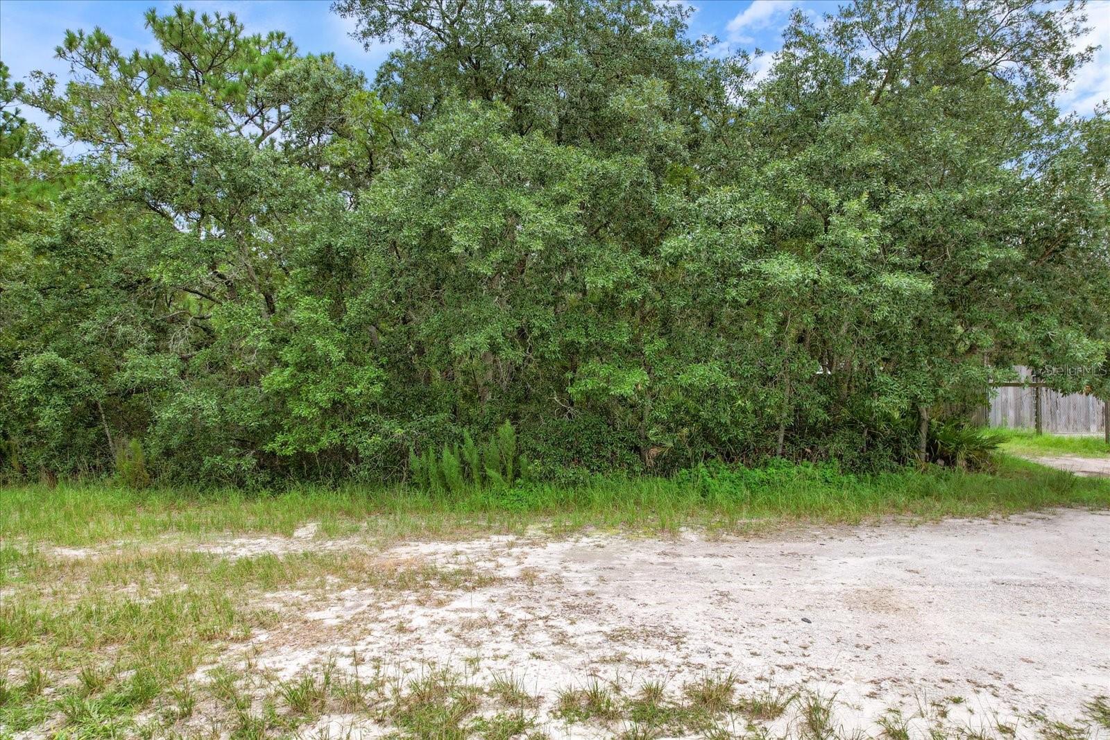 17192 NICASIO JAY AVE, BROOKSVILLE, FL — photo 21