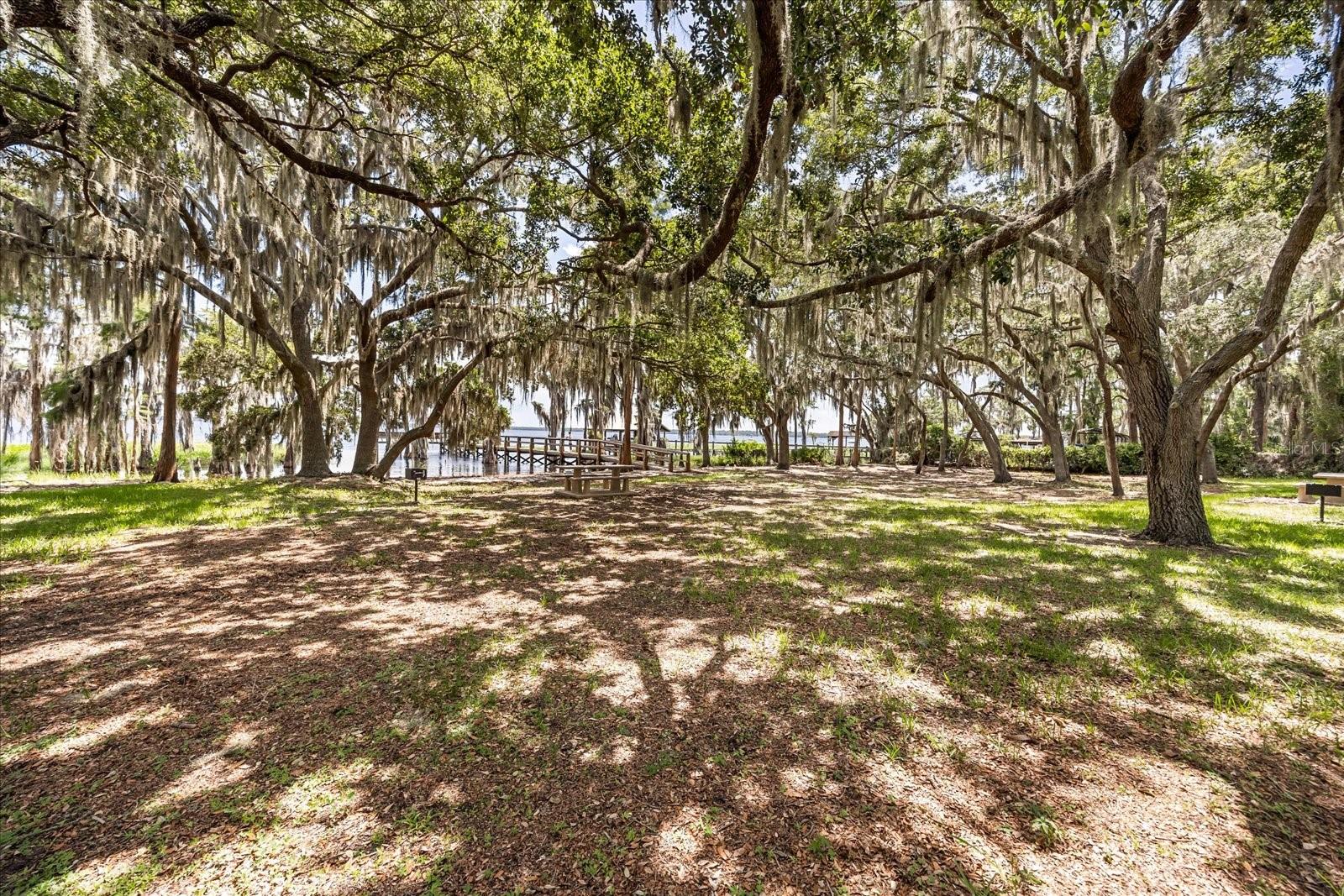 13848 VISTA DEL LAGO BLVD, CLERMONT, FL — photo 86