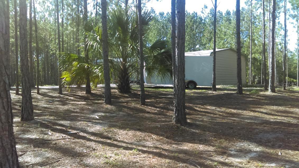 540 SW 326TH AVE, STEINHATCHEE, FL — photo 13