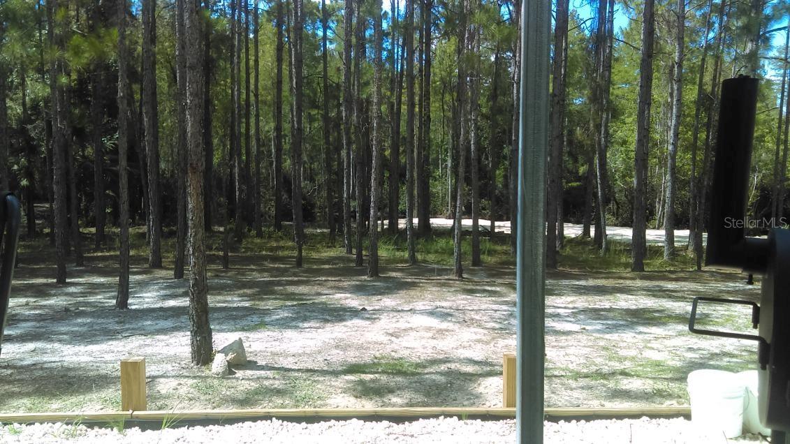 540 SW 326TH AVE, STEINHATCHEE, FL — photo 14