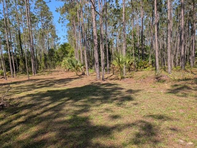 540 SW 326TH AVE, STEINHATCHEE, FL