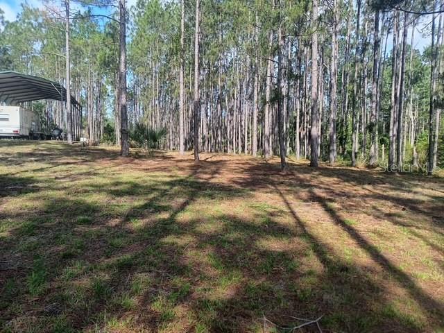 540 SW 326TH AVE, STEINHATCHEE, FL — photo 2