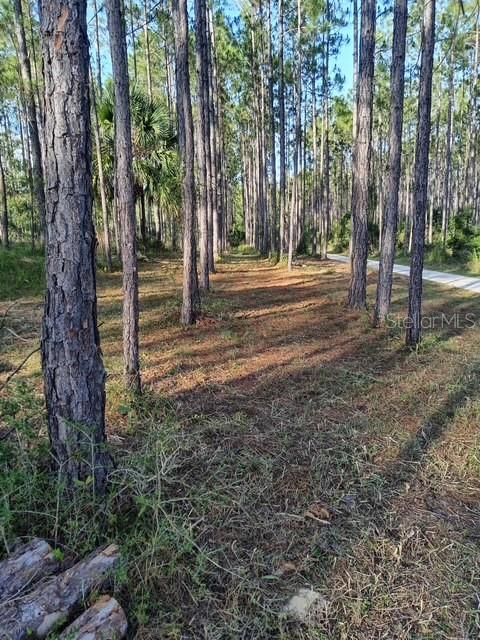 540 SW 326TH AVE, STEINHATCHEE, FL — photo 3
