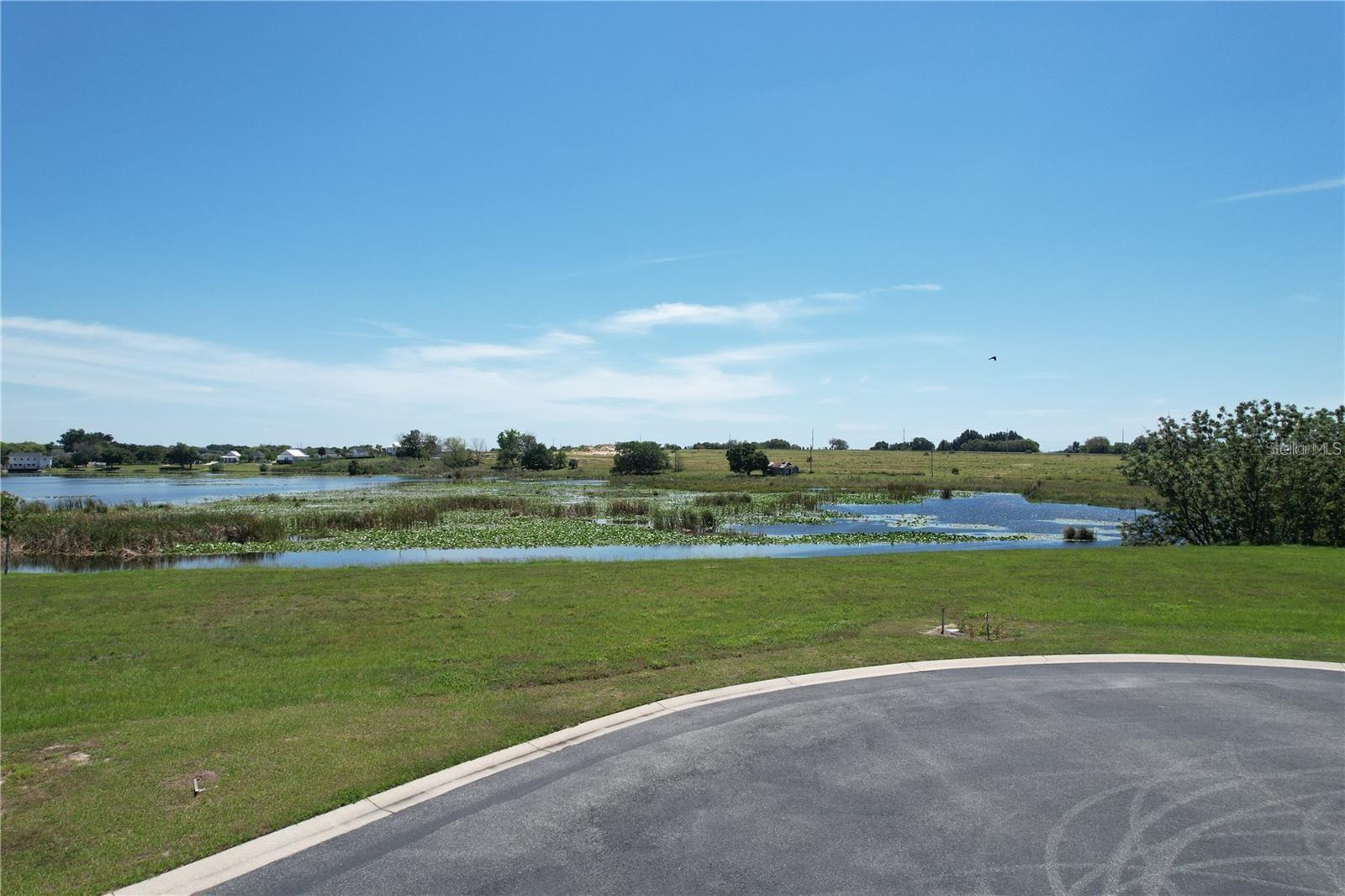 116 N CALADIUM AVE, LAKE ALFRED, FL — photo 12