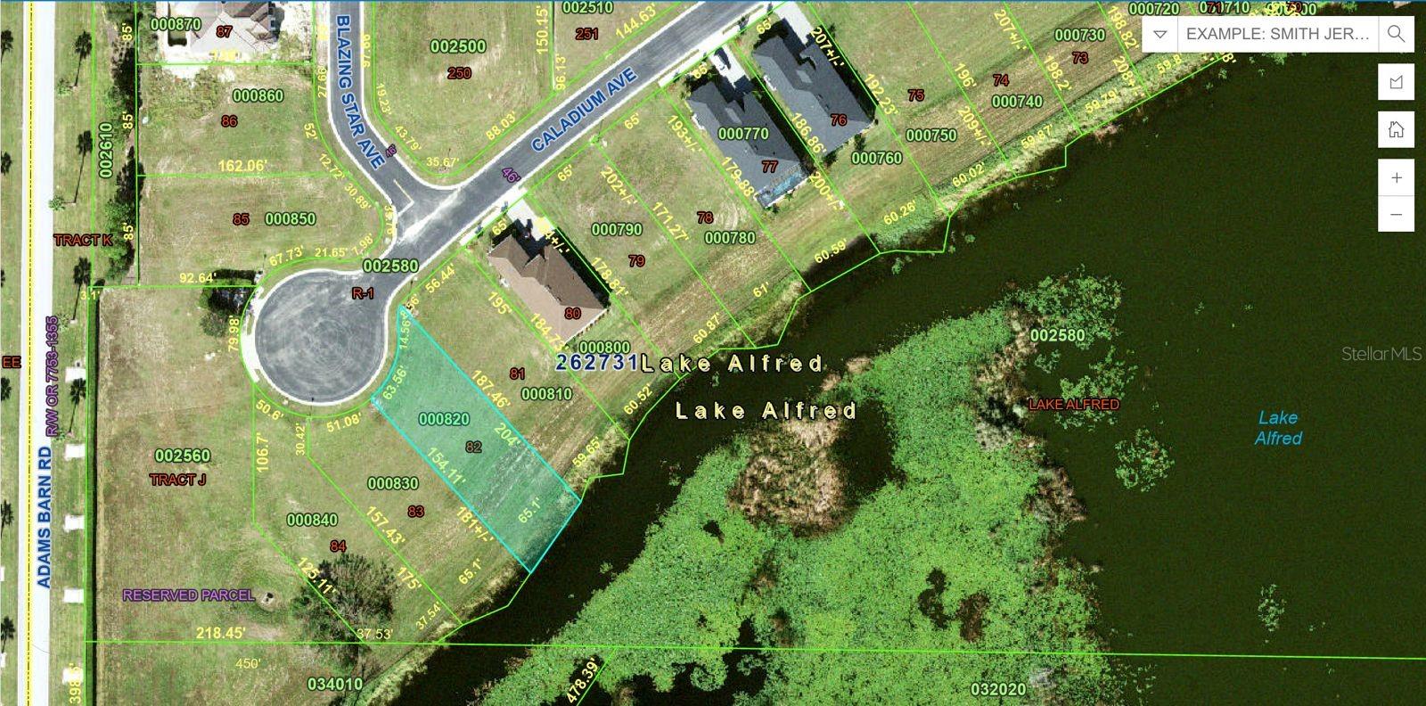 116 N CALADIUM AVE, LAKE ALFRED, FL — photo 15