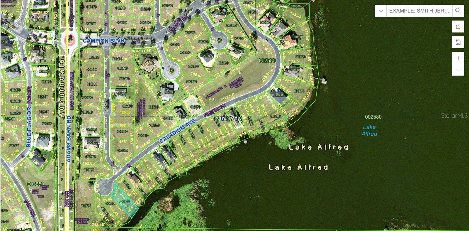 116 N CALADIUM AVE, LAKE ALFRED, FL — photo 16