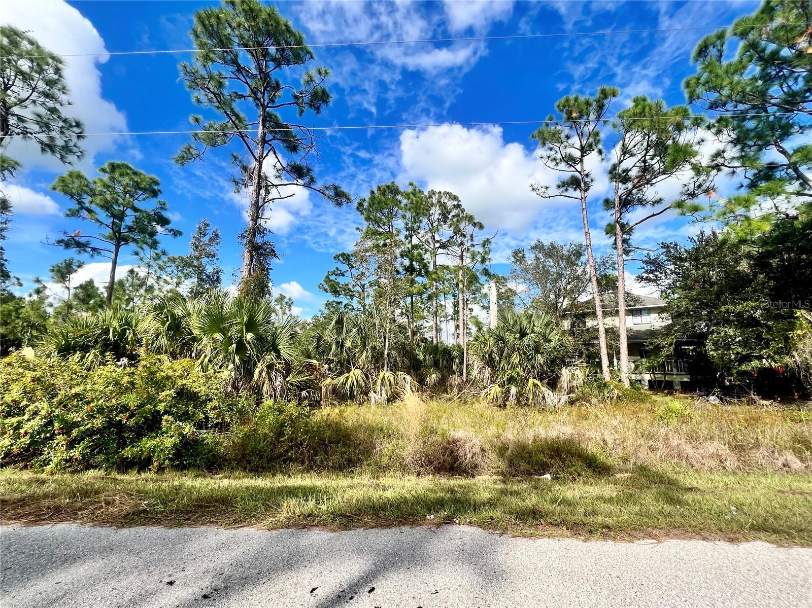 27372 LAS LOMAS DR, PUNTA GORDA, FL